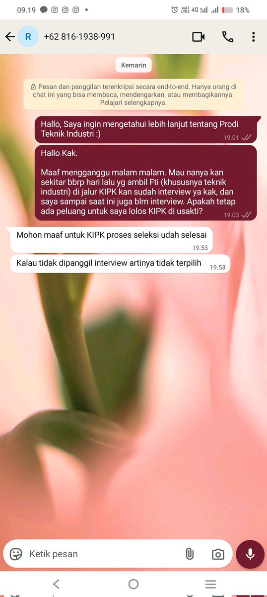Viviiii tweet media