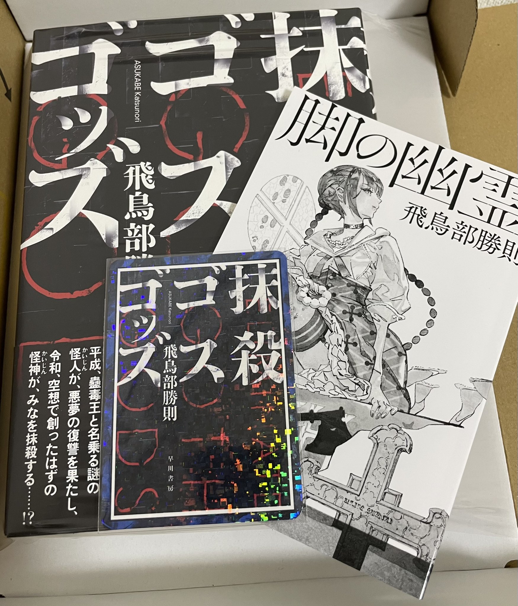 中古】抹殺ゴスゴッズ 飛鳥部勝則「抹殺ゴスゴッズ」【サイン本】 堕
