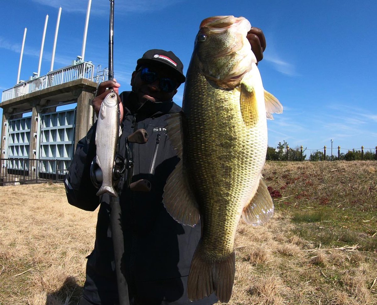 [] Standard Issue XH
(geoffreytheking) 🇯🇵 
#theldcworkshop #lowdowncustomrods