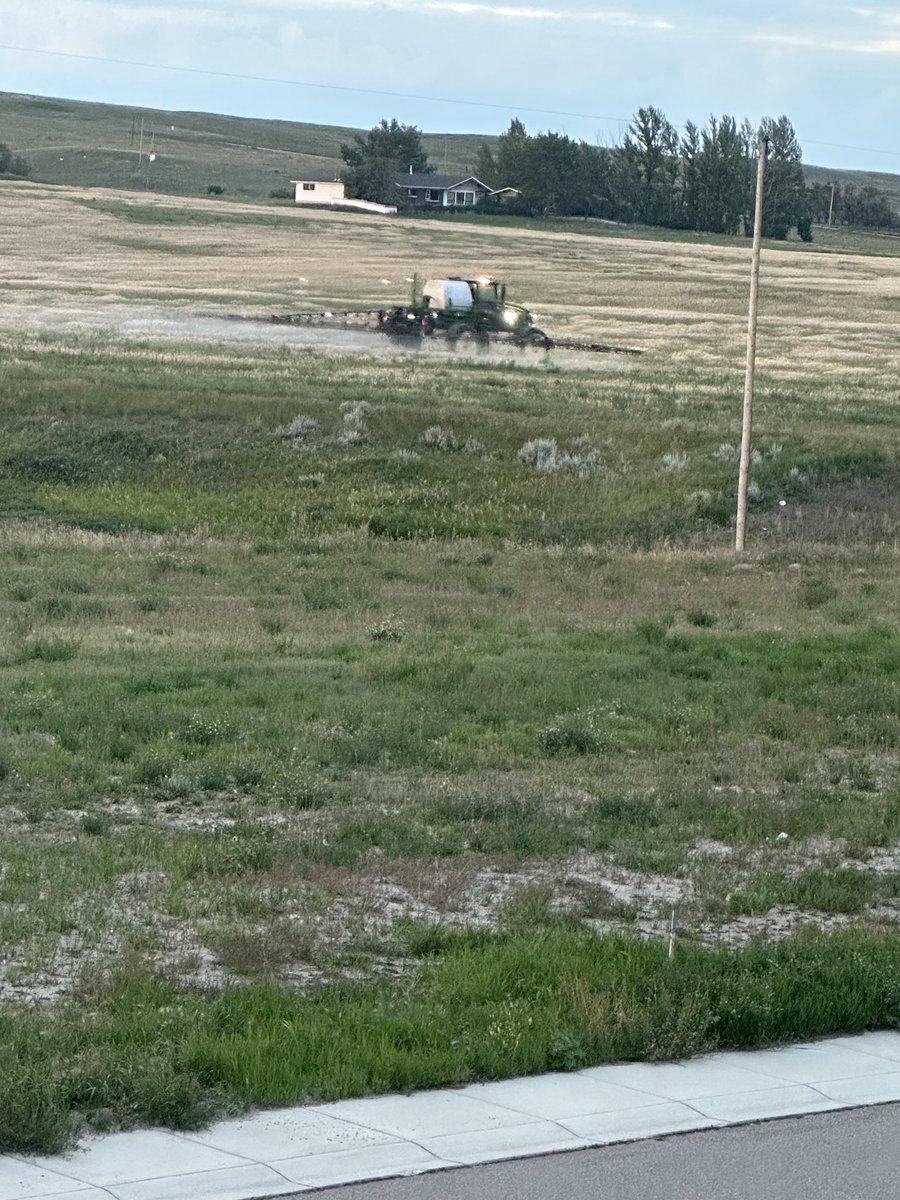 🎵🎵 doo doo doo looking out my front door 🎵🎵