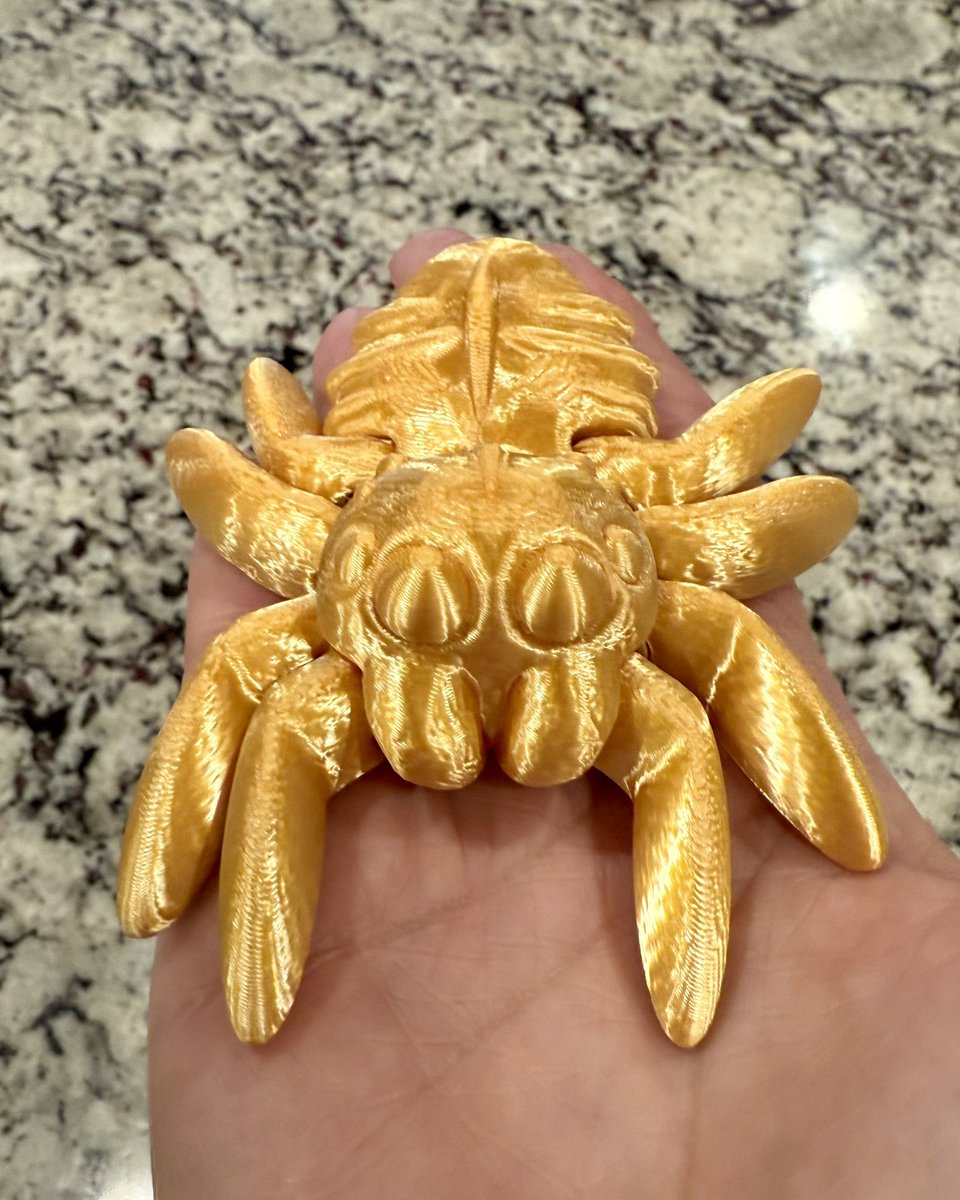 I won the Golden Spider Award! My Black Widow shot got First Place in the SpiderFest photo contest  so much better than a ribbon! The legs move