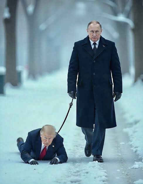 JayJay91341991's tweet photo. The Alaska Meeting summed up in one picture. 😊
#AlaskaMeeting #TrumpPutin #Trump
#alaskasummit2025 #PutinTrump #MAGA
#TrumpisPutinsPuppet #TACOTrump #Russian #USA #AlaskaWithUkraine https://t.co/ZPEEIpZboZ