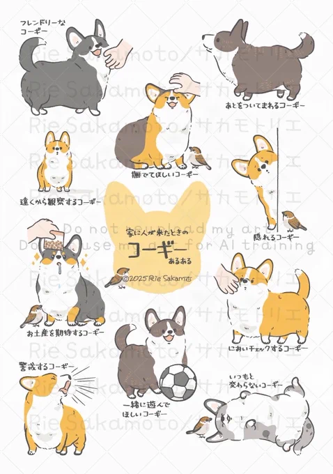家に人が来たときのコーギーあるある(11/11)
#コギまるけ #CORGIMARUKE 