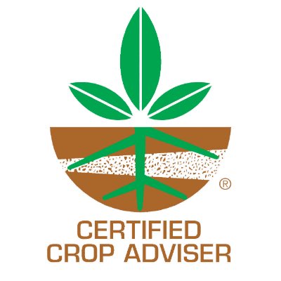 Leandro O. Vieira II tweet media