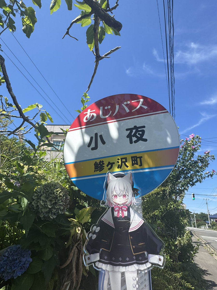 いっしょく tweet media