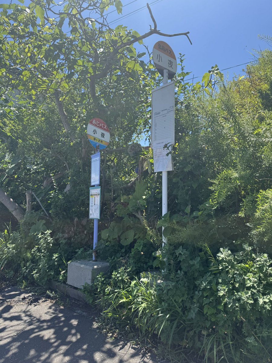 いっしょく tweet media