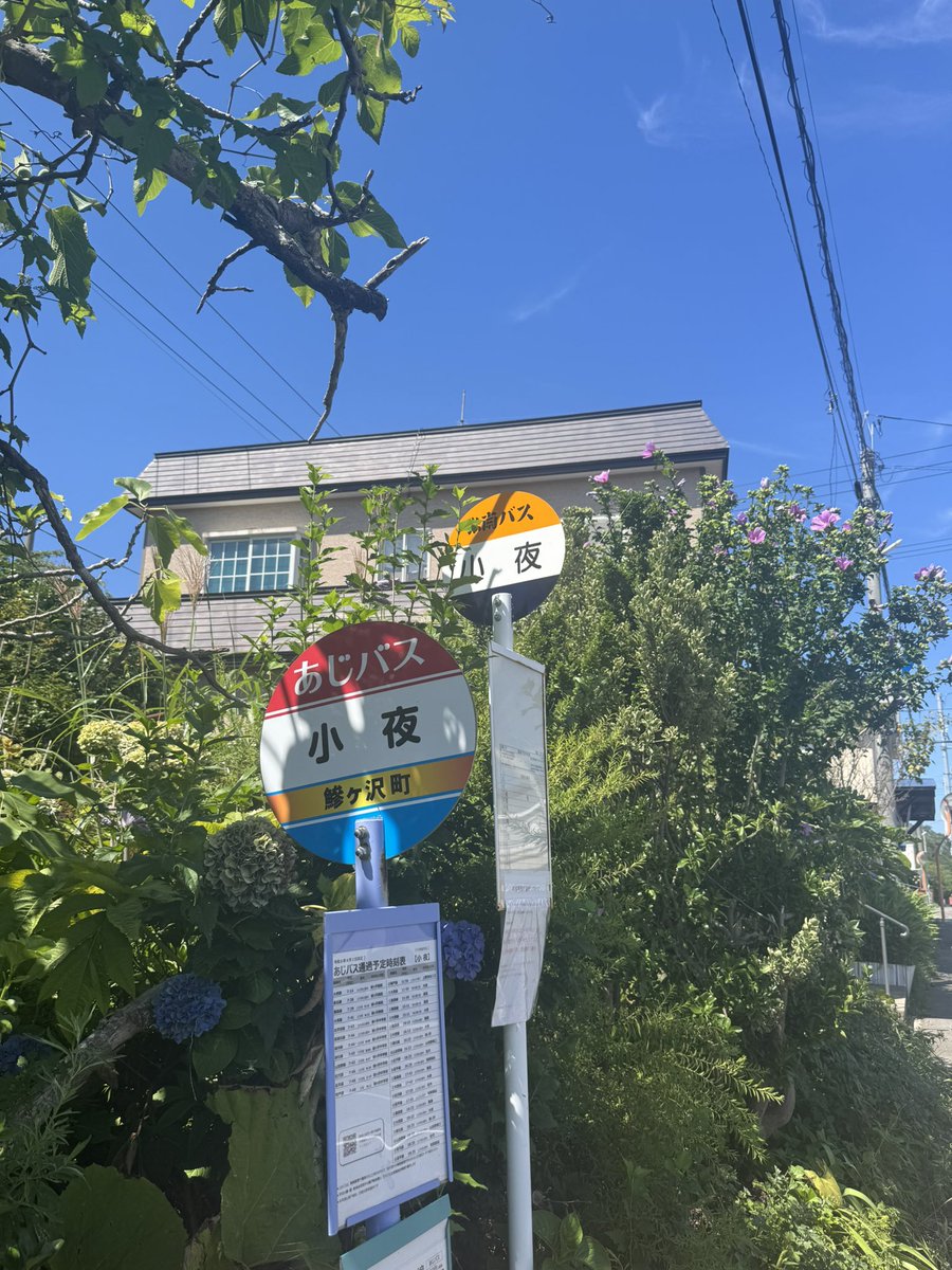 いっしょく tweet media