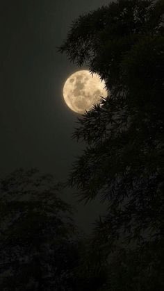 Right now it’s a lovely moonlight thank you Lord God Almighty here in Tulsa Oklahoma tonight.👨‍✈️🌙😎