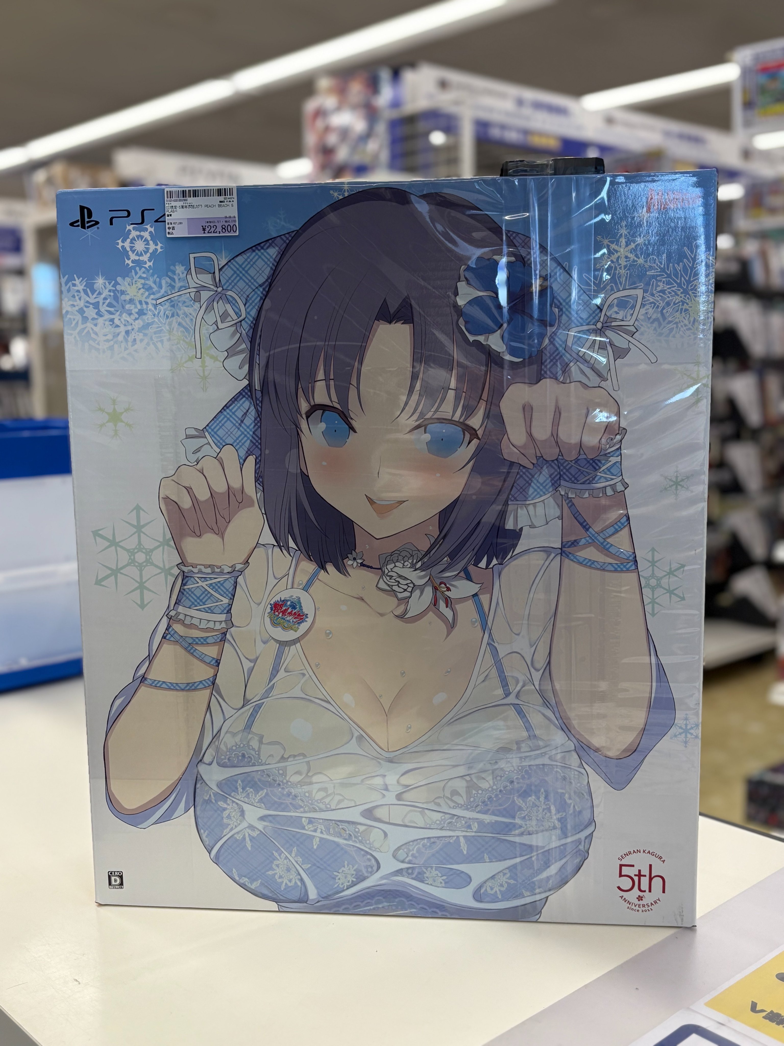 閃乱カグラPBS 超にゅうにゅうパック 閃乱カグラPBS 超にゅうにゅうパック 閃乱カグラ PEACH BEACH SPLASH