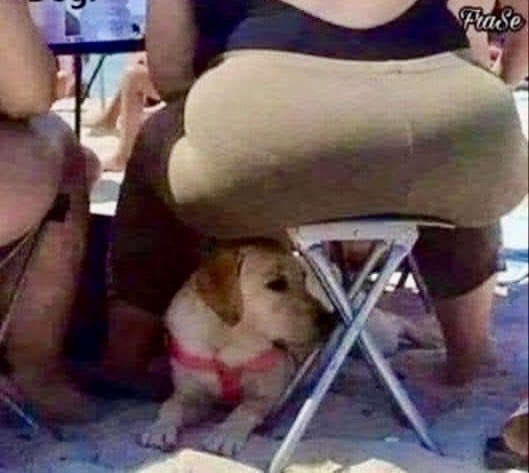To be in crypto, you need to have the strength of the chair &amp; the faith of the dog.
