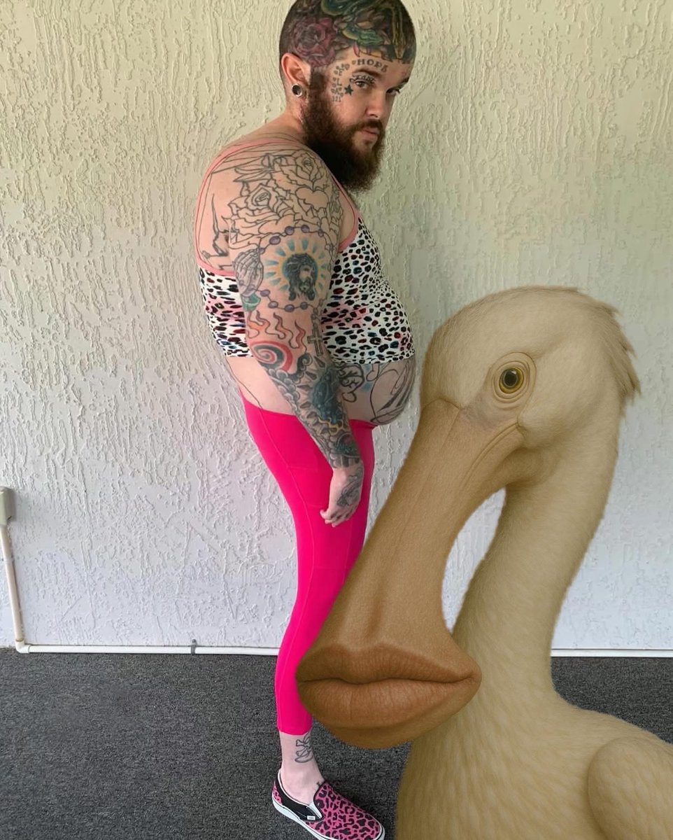 I adopt a sexy emo goose