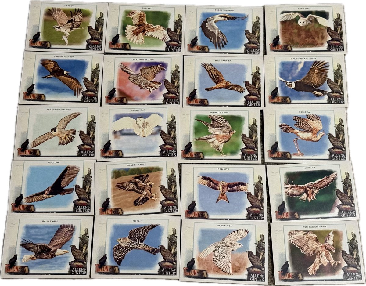 IowaConnection tweet media