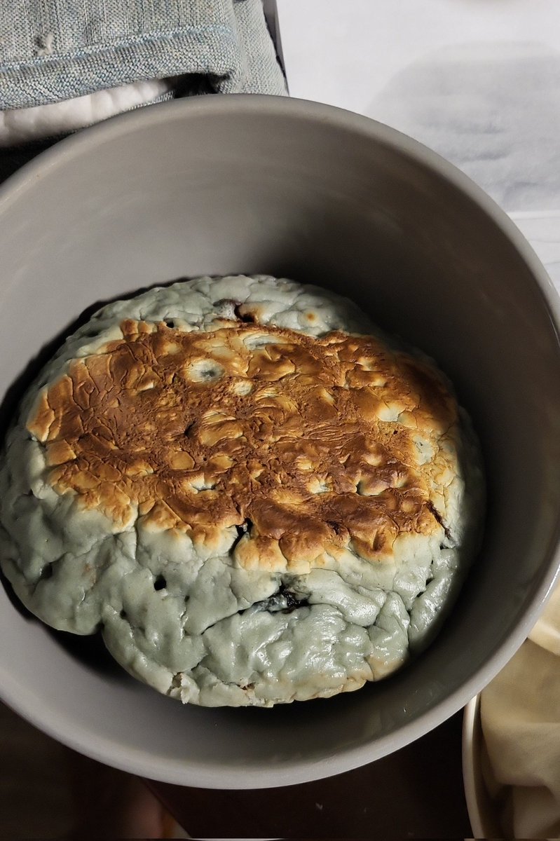 My blueberry choc chip pancakes look like brain