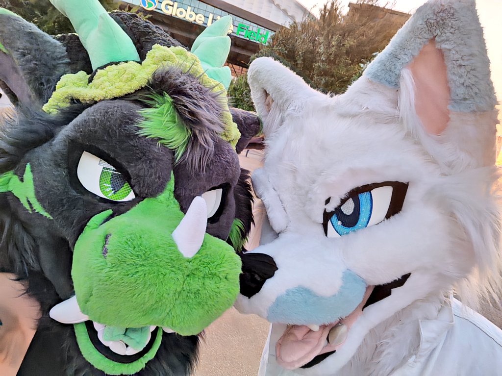 ZigTheDragon 🐲 tweet media