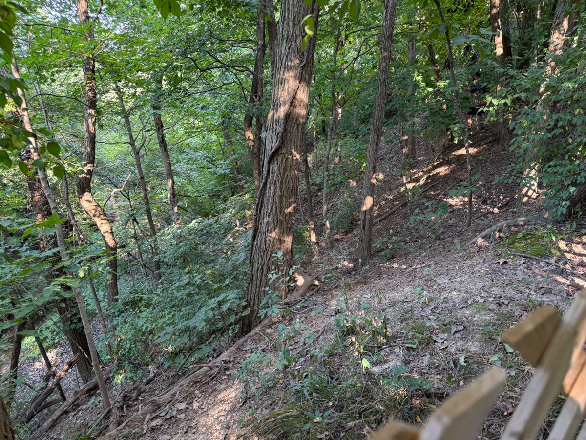 Hole 12 at Northwoods Black is insane. And the drop off on the left hand side down the final stretch is nearly vertical.
