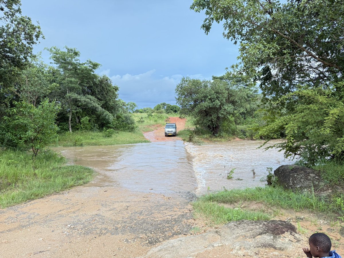 MuchatizaDavid's tweet photo. @WaltJackman Hapasi apa ere https://t.co/rPon621DDx