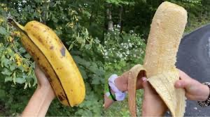 Historic Vids tweet media