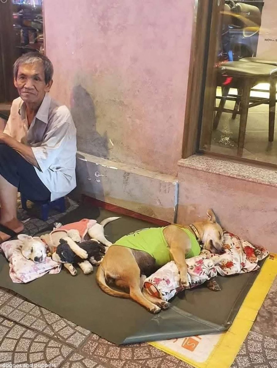 Este hombre es un ángel sin alas, un guardián silencioso que vela por los que no tienen voz. Sin una casa que llamar propia, ofrece un techo de amor y protección a quienes más lo necesitan. Sin un colchón suave, proporciona descanso a los cuerpos cansados de sus compañeros