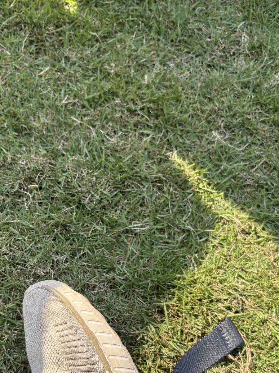 jumpscare for people on twitter