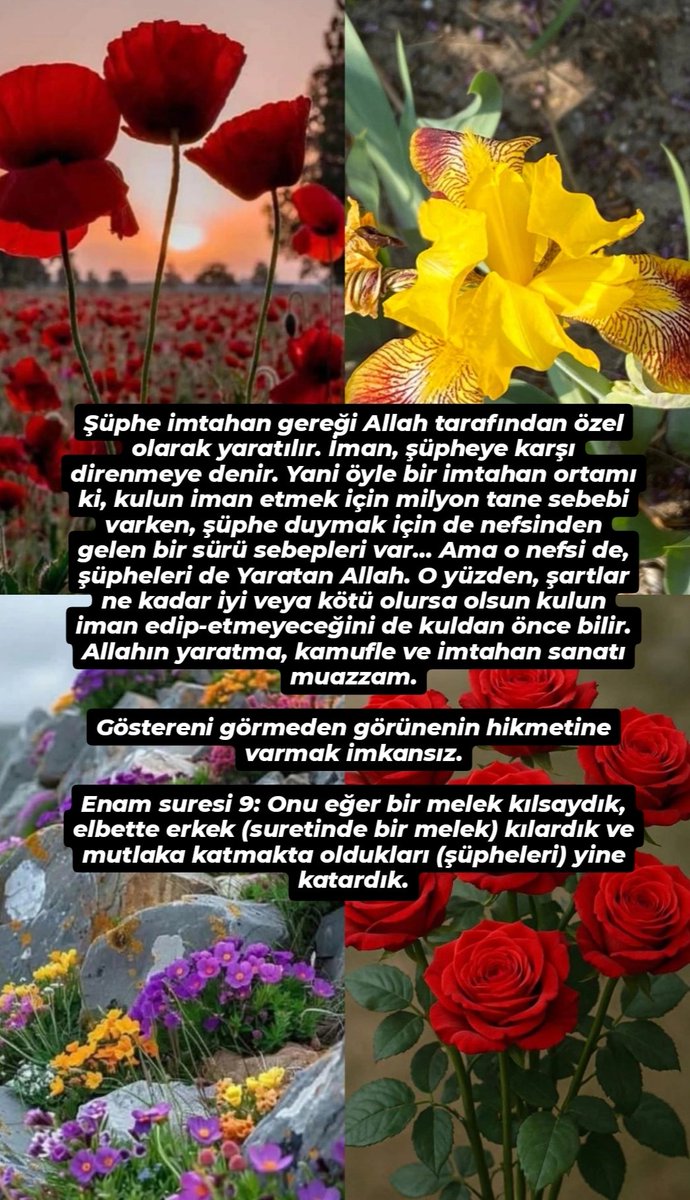 2baharr's tweet photo. Şüphe imtahan gereği Allah tarafından özel olarak yaratılır. İman, şüpheye karşı direnmeye denir.+ #günaydın #Allahh https://t.co/QZDlwr3jQF