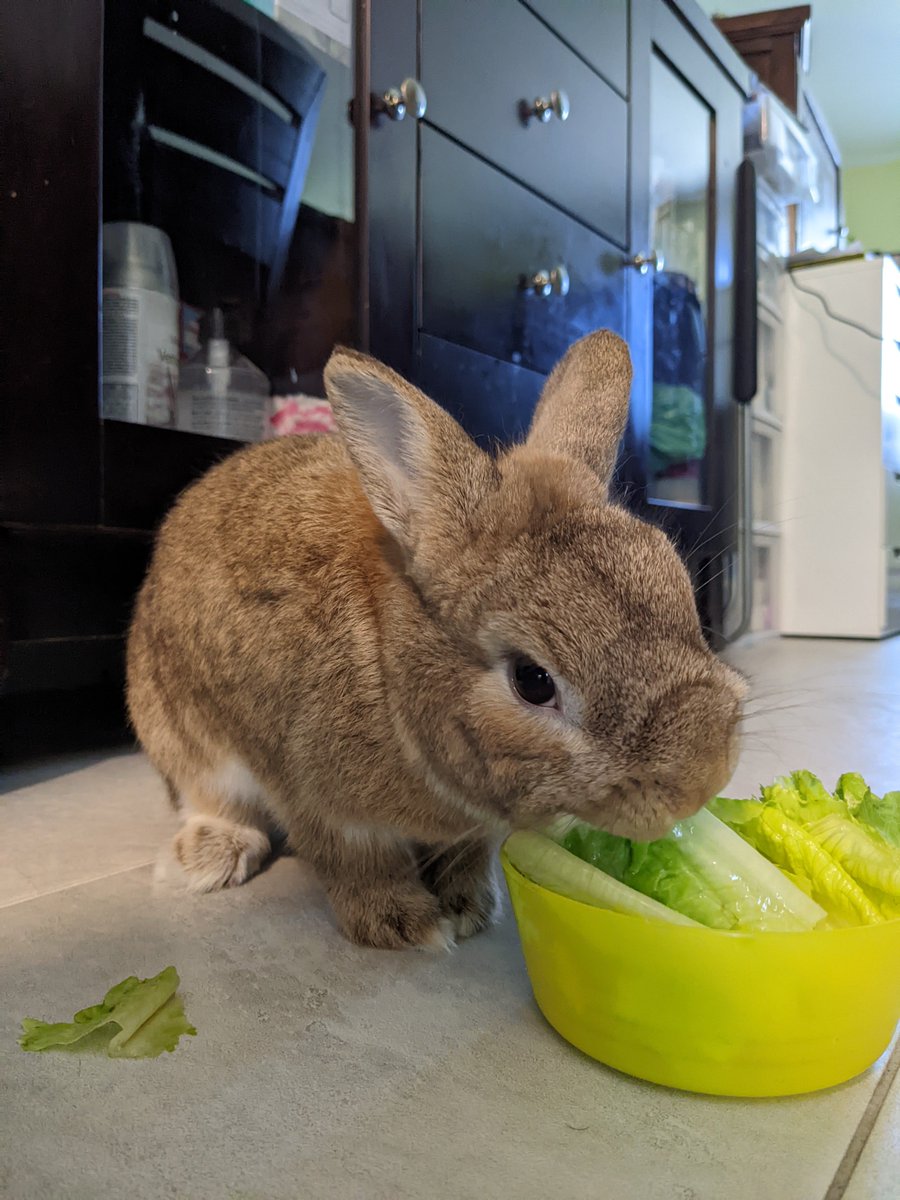 side eye