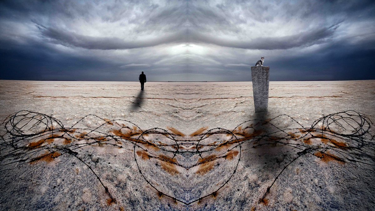 Good morning...
 
Collectors are Dead...
 
Long live the cat... 
 
Have fun it's weekend...