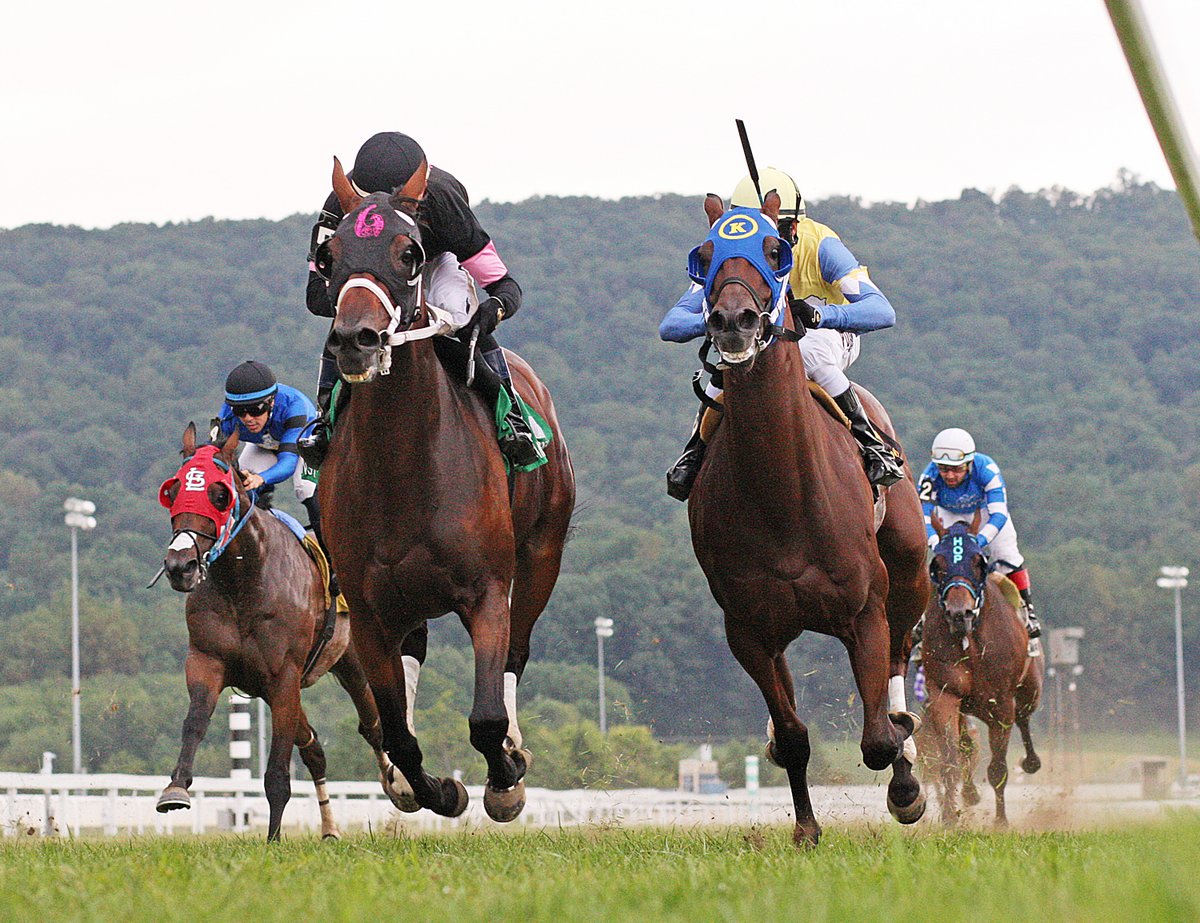 Pa HBPA (@pa_hbpa) on Twitter photo Fore Harp took tonight's $75,000 <a href="/PA_PHBA/">PA Bred</a> Marshall Jenney Stakes at <a href="/HollywoodPenn/">Hollywood Casino at Penn National Race Course</a> for owners LC Racing, James Bonner & Wellesley Stable. <a href="/JockeyFrankie/">Frankie Pennington</a> rode for trainer Butch Reid.
📸: Equi-Photo Fore Harp took tonight's $75,000 <a href="/PA_PHBA/">PA Bred</a> Marshall Jenney Stakes at <a href="/HollywoodPenn/">Hollywood Casino at Penn National Race Course</a> for owners LC Racing, James Bonner & Wellesley Stable. <a href="/JockeyFrankie/">Frankie Pennington</a> rode for trainer Butch Reid.
📸: Equi-Photo