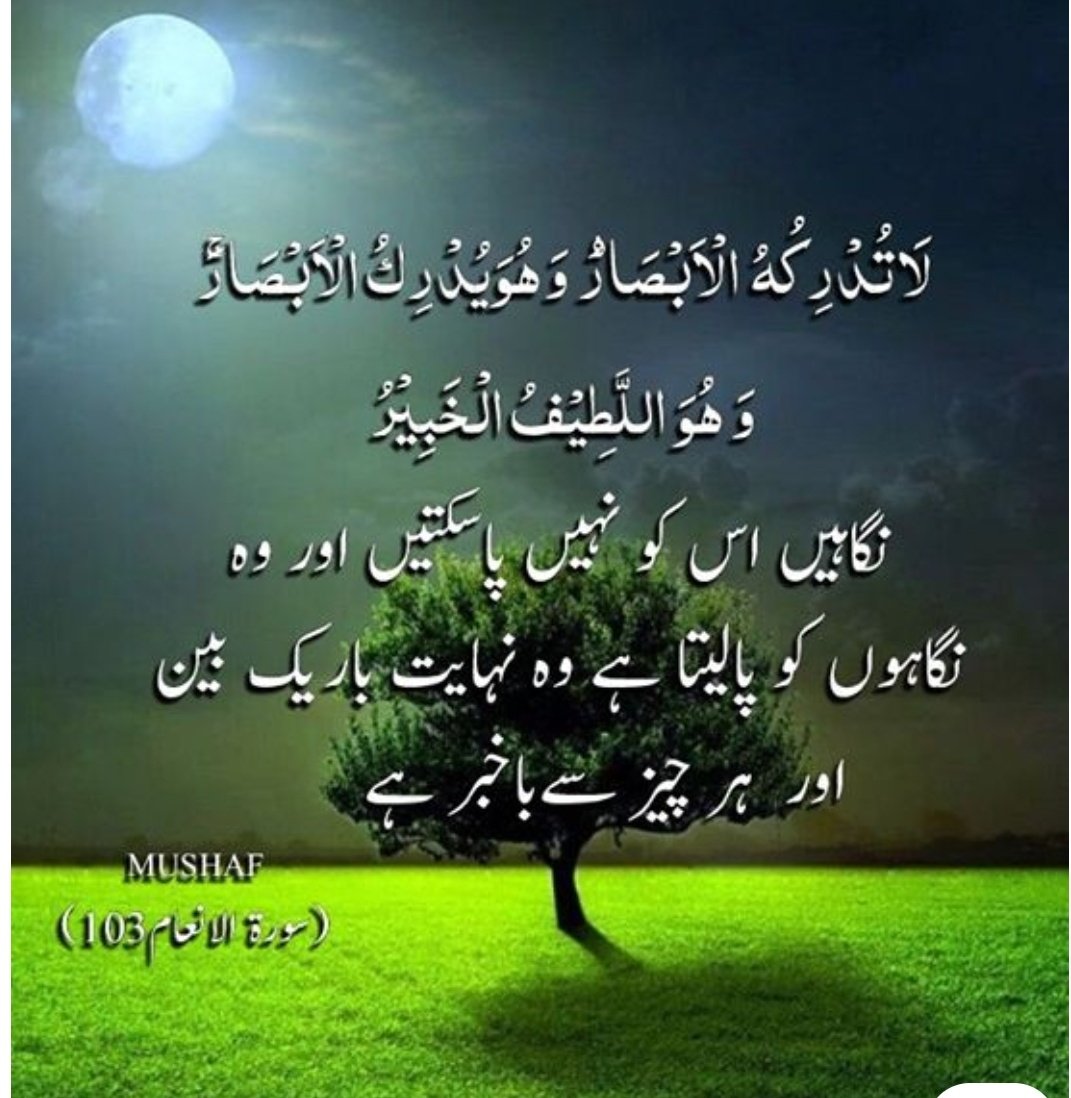 Momina tweet media