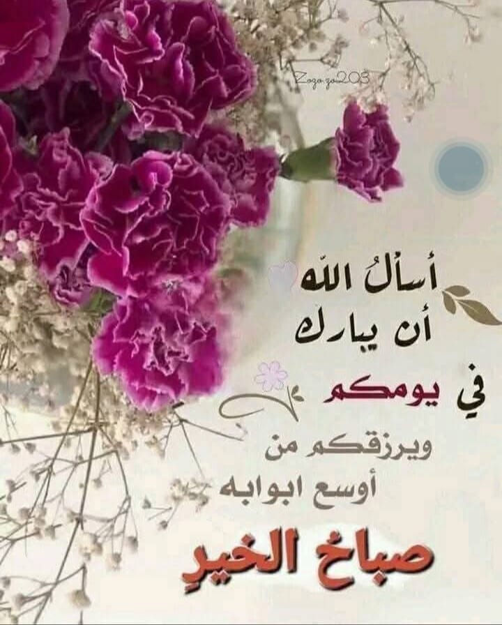 AkPhone19063228's tweet photo. صباح الخير. https://t.co/F4xFJz4buj