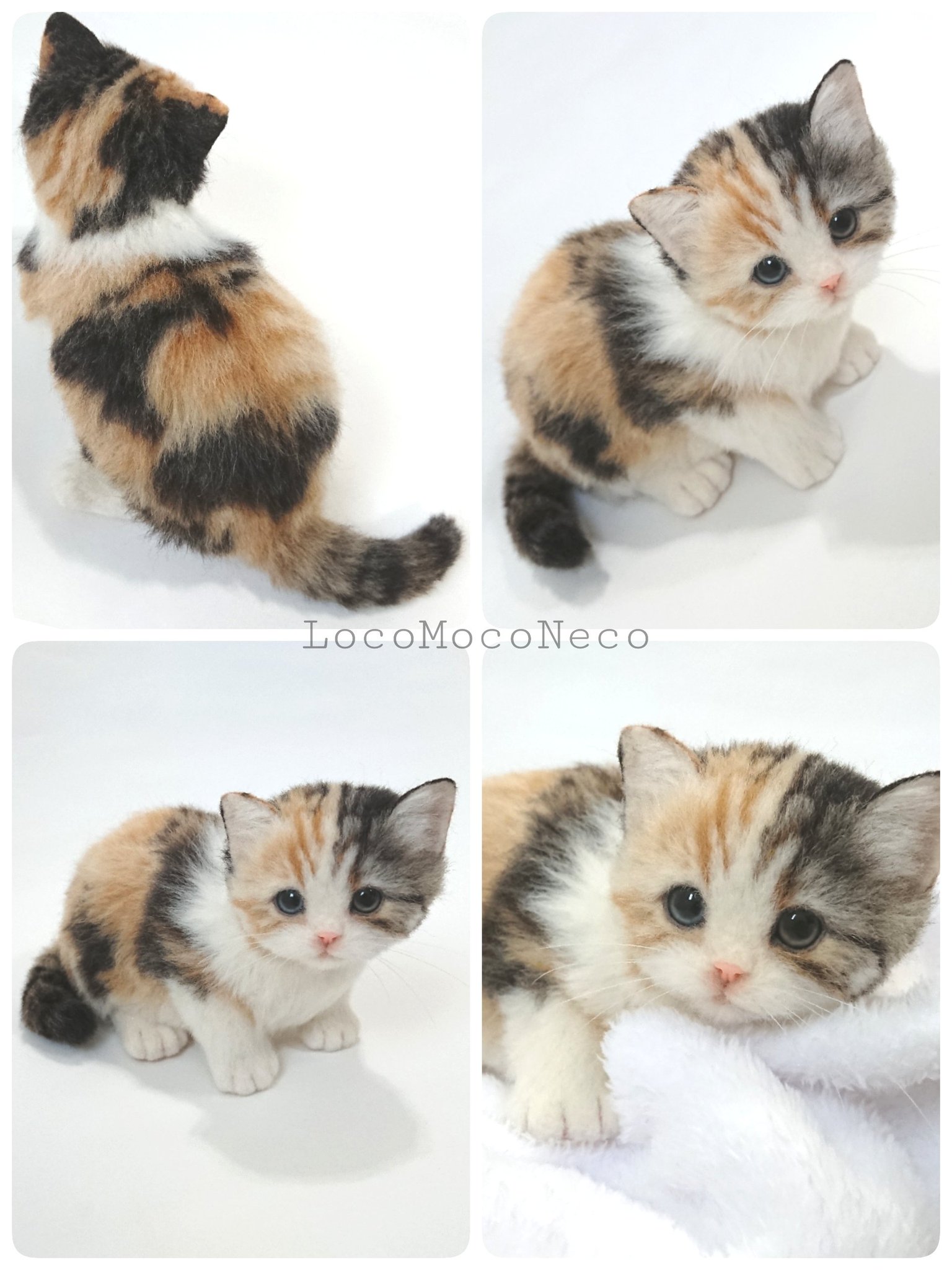 羊毛フェルト　　猫(オッドアイ) ろこもこねこ@羊毛フェルト on X: 