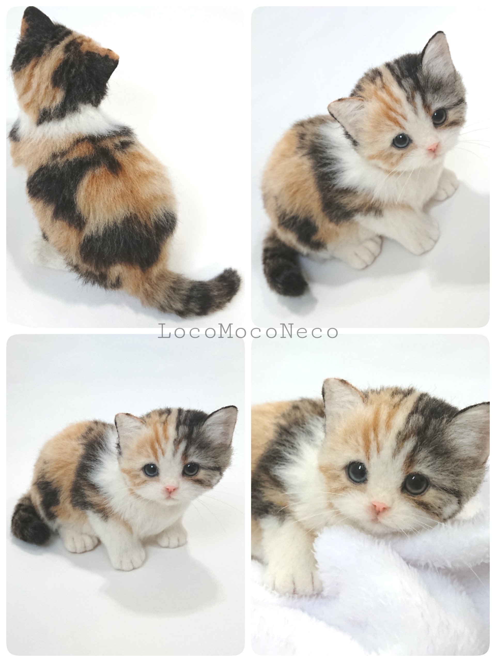 羊毛フェルト　　猫(オッドアイ) 羊毛フェルト オッドアイ白猫と蛇の置物 3体セット模様入れ受付
