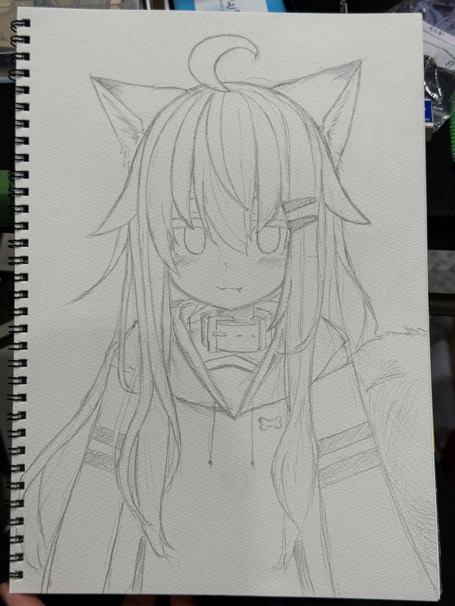 久しぶりにうちの子をアナログで描きました!
髪型を前の形で描いちゃいました… 