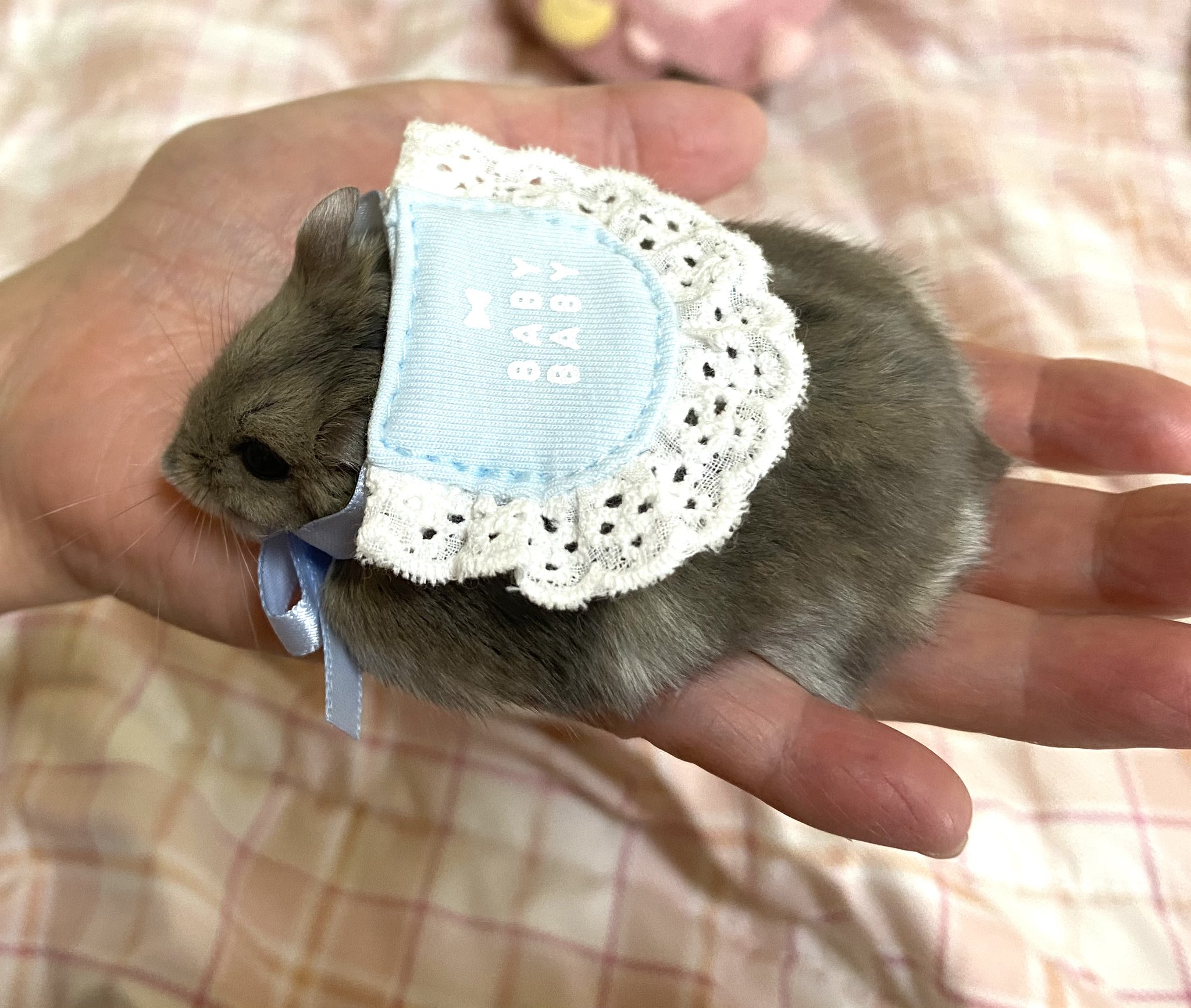 haru0202 (@haru02029) / X