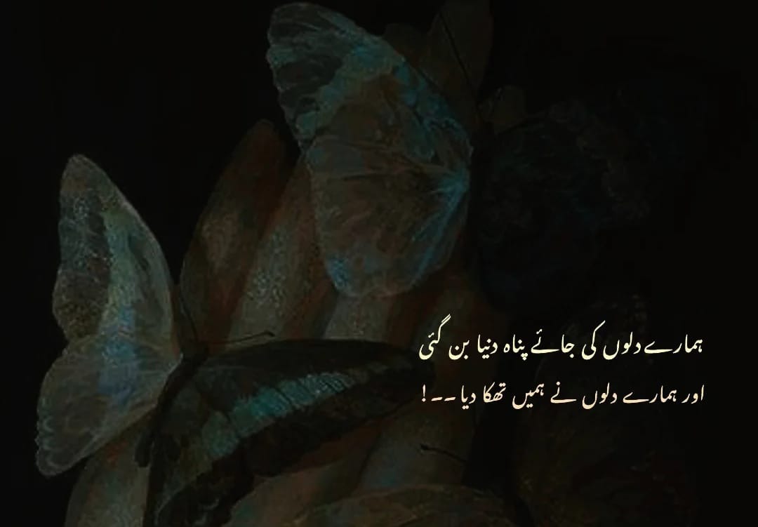 اسلام علیکم ورحمتہ اللہ وبرکاتہ صبح بخیر 🌄 
دل کا سکون لینا ہے تو دل بنانے والے سے رابطہ کرو۔ 🫀*
دِل اسی سے لگاؤ ، جس نے دل بنایا ہے۔
اس کا یہ مطلب بالکل نہیں کہ ہم انسانوں سے محبت نہ کریں یا تعلقات نہ رکھیں۔
بلکہ مراد یہ ہے کہ باقی تمام محبتیں اللہ کی محبت کے تابع ہوں — یعنی