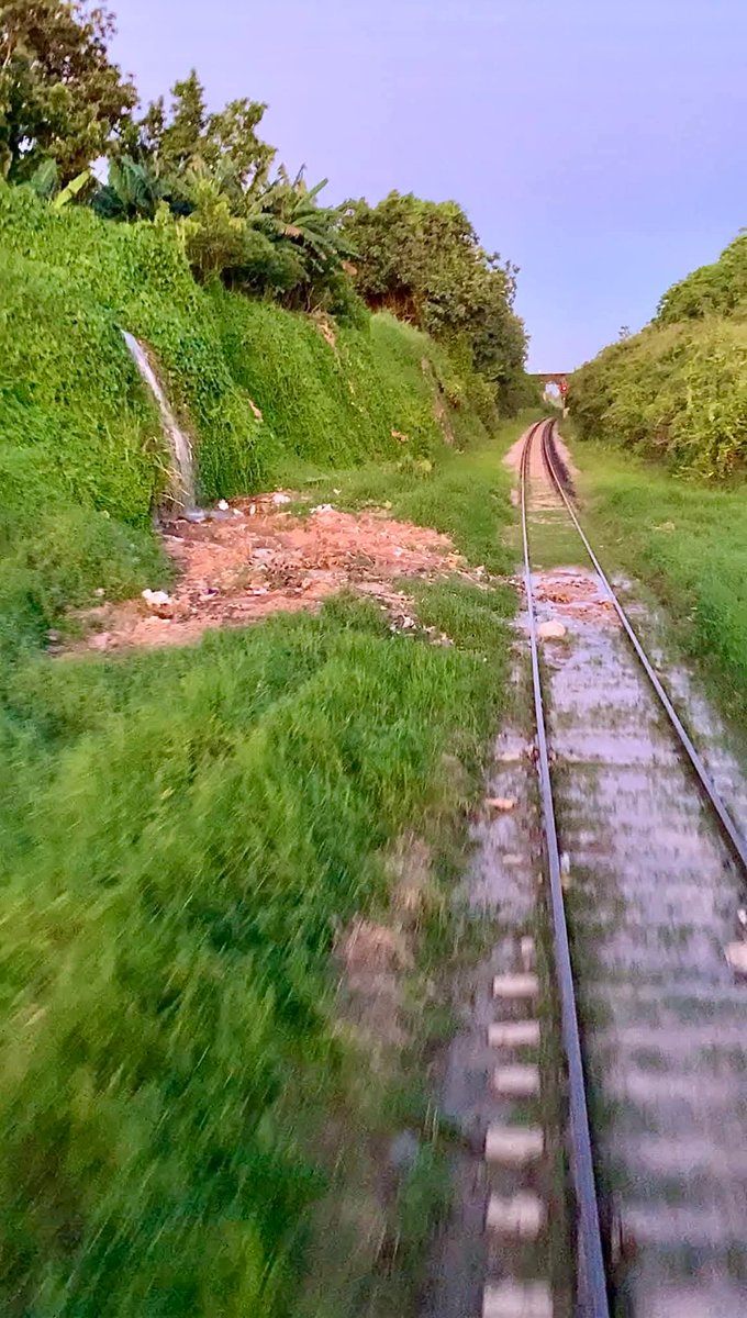 Es necesario combatir en cada lugar los basureros,vertederos y agua sobre la vía férrea. Produce interrupciones al tráfico ferroviarios, descarrilos accidentes