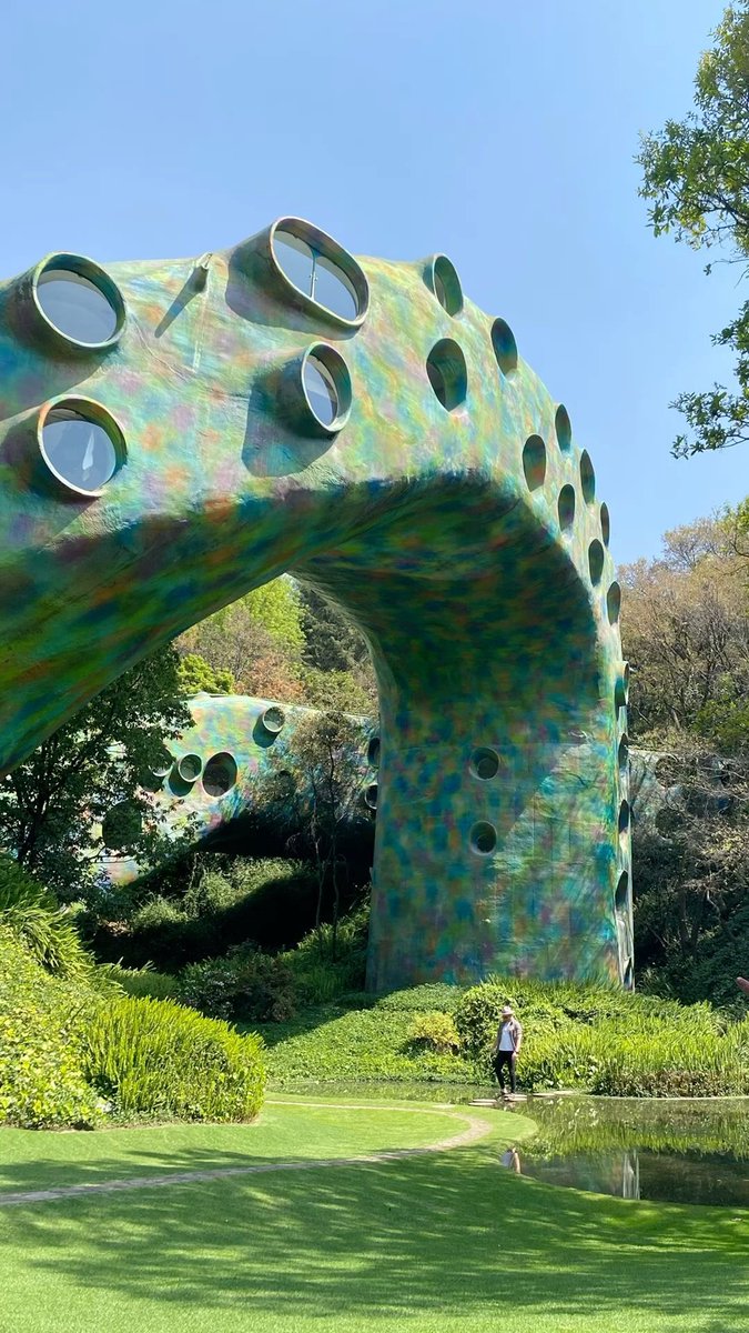 Dua Lipa stayed here &amp; that can be found for rent on Airbnb 

El Nido de Quetzalcóatl, a serpent-shaped home near Mexico City, is pure architectural fantasy.

Designed by Javier Senosiain 🐍🌿

#Architecture #DesignInspo #interior #DuaLipa