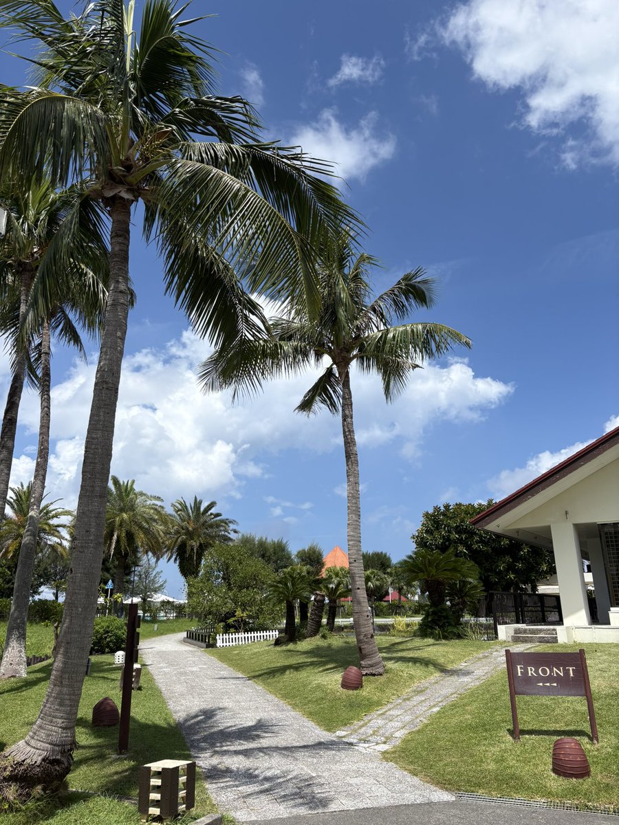 Taichi Yokoyama🇯🇵 tweet media