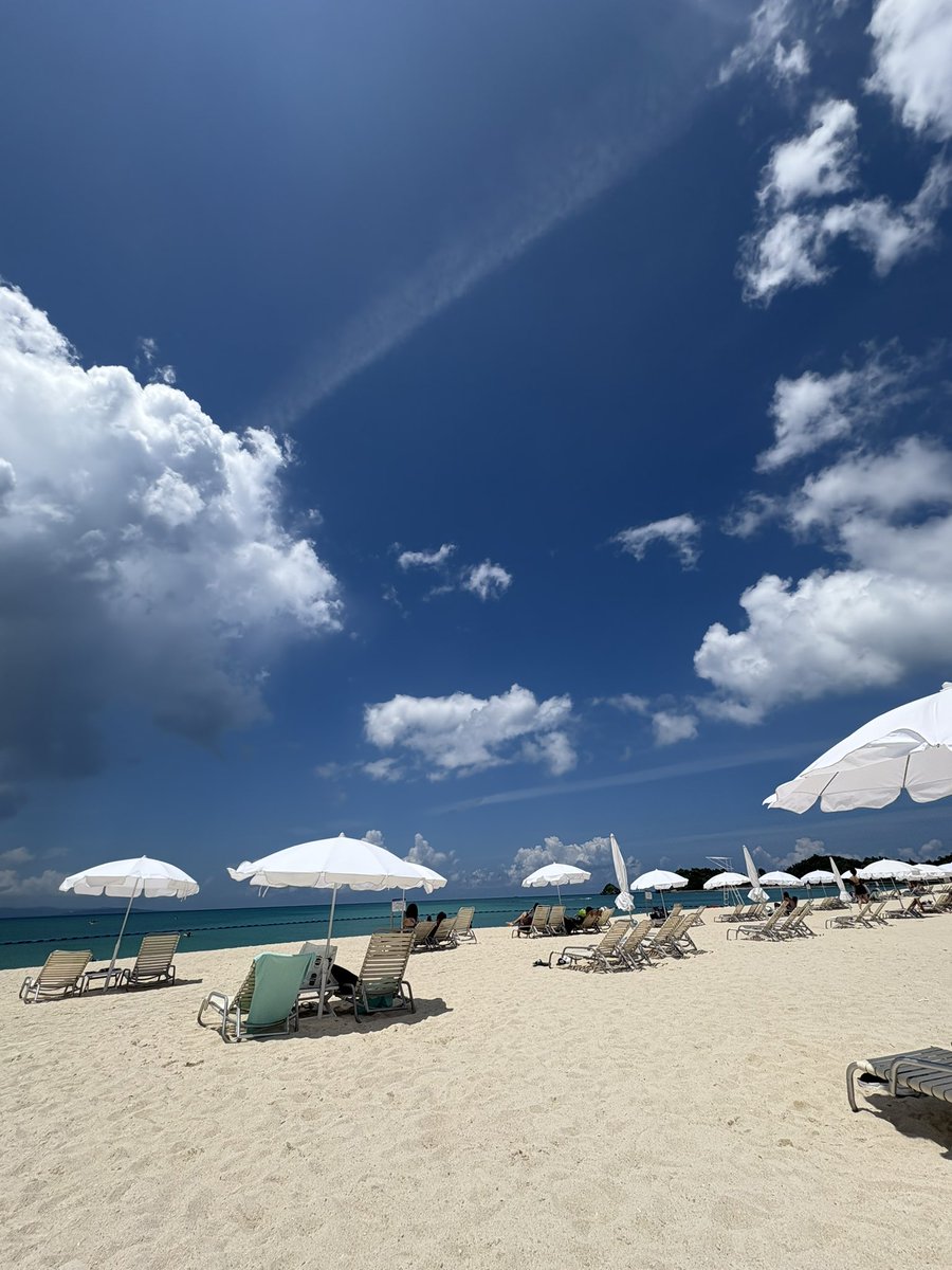 Taichi Yokoyama🇯🇵 tweet media