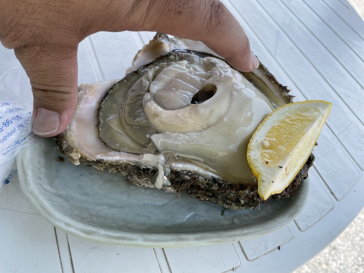 昨日の岩牡蠣サイコーやった🤤
デカさ半端ない🦪