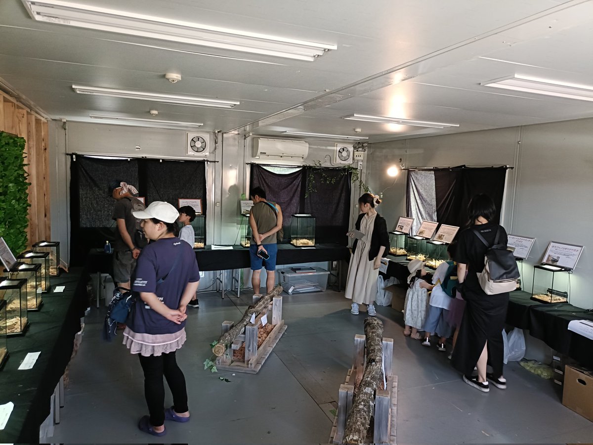 みなみさんりく発掘ミュージアム tweet media
