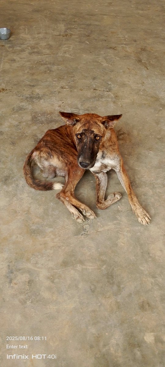 officallyB's tweet image. 