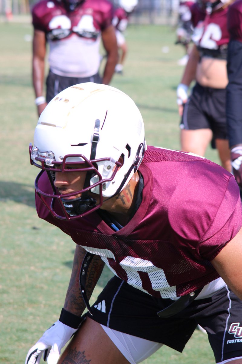 Jordan Shepherd tweet media