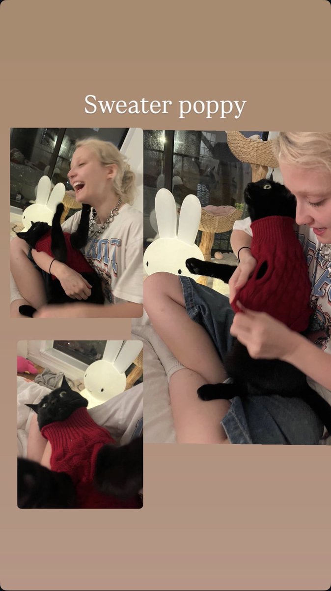 ☆ chloe moriondo from aiden's instagram story : @/b1impy_ on ig

🐈‍⬛