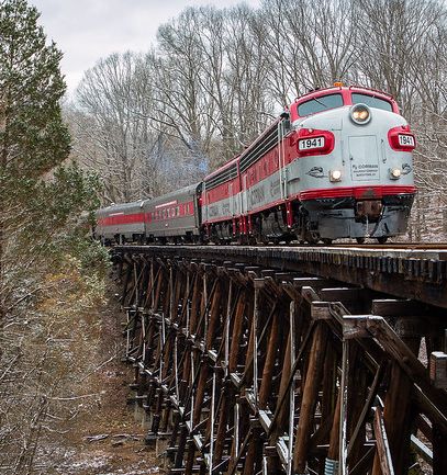 ShockWave MAGA City USA tweet media