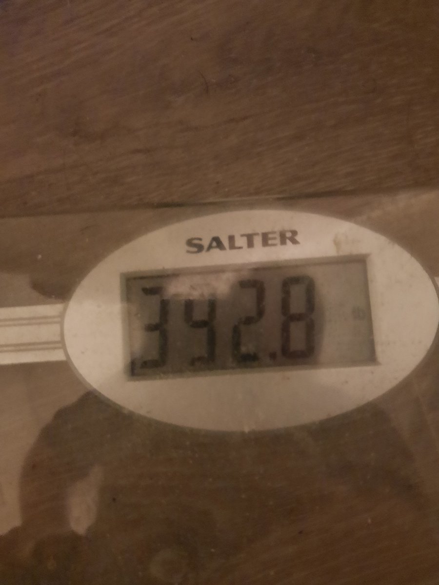 Fattenme's tweet photo. Getting fatter than ever. Nearly 400lbs https://t.co/msV0yVvY7r