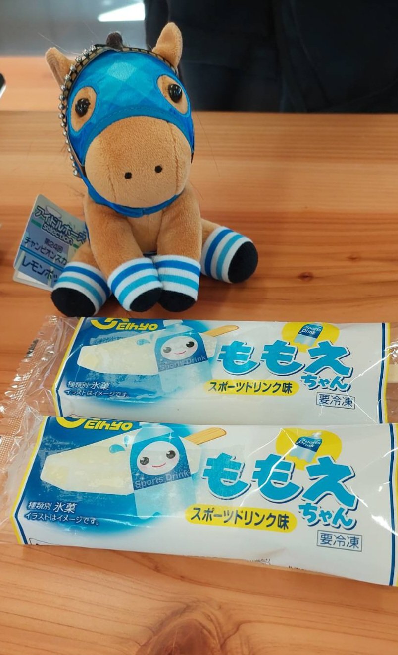 アイドルホース Amazon.co.jp: アイドルホース オジュウチョウサン ぬいぐるみ