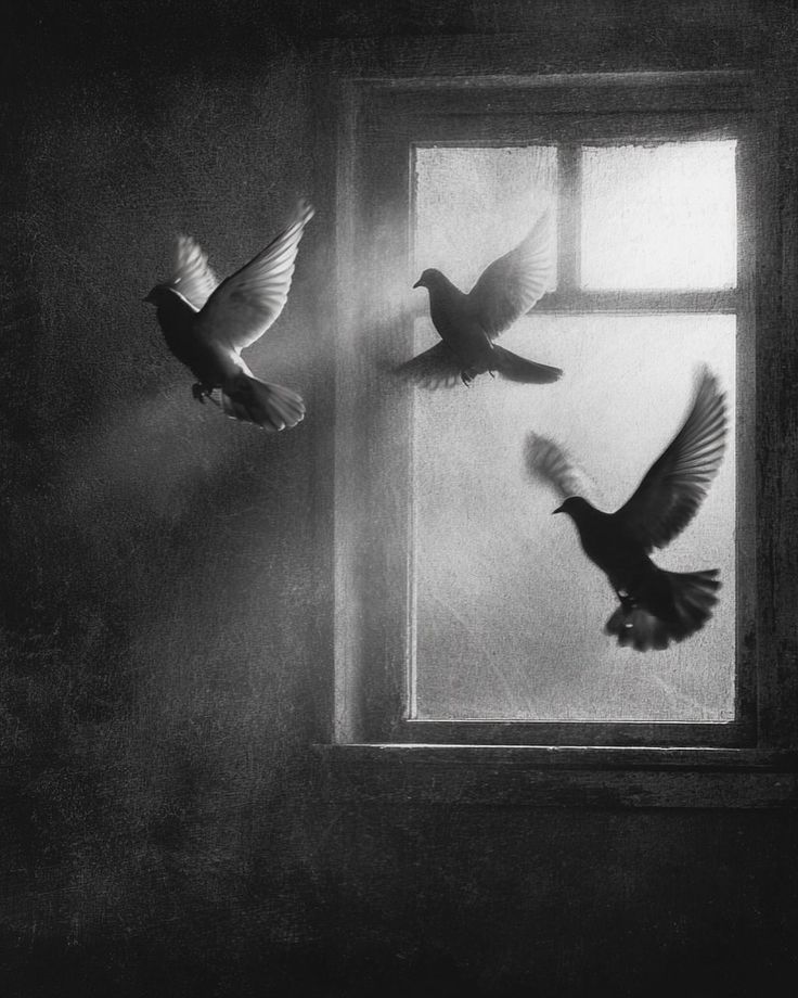 Sweet_dream (@ceciliamarie71) on Twitter photo 