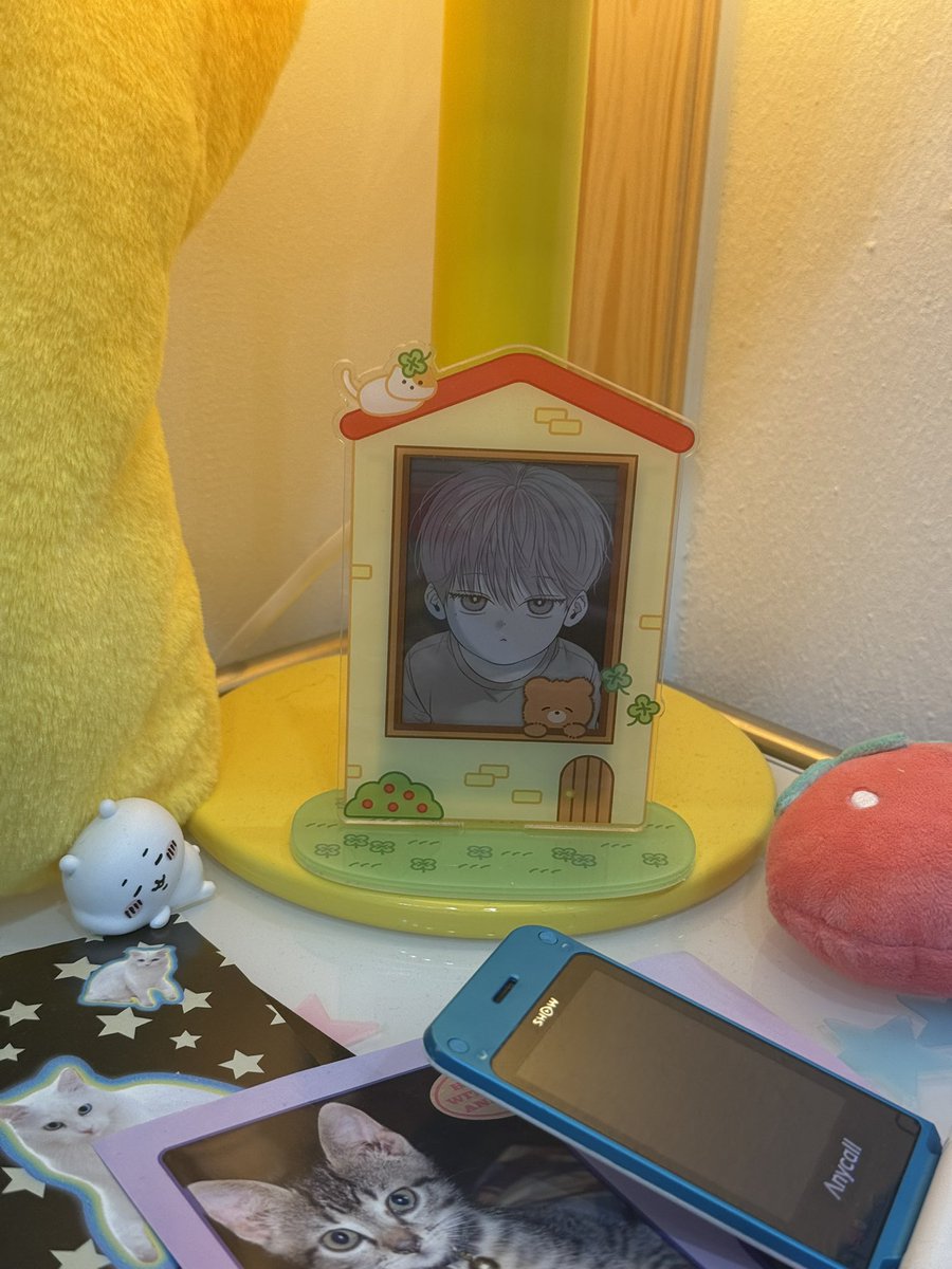 좋아하는건 두번 봐야지..💑

#HAPPY_CAT_LOVERS_CLUB
#나의_여름을_너희란_말에_담아