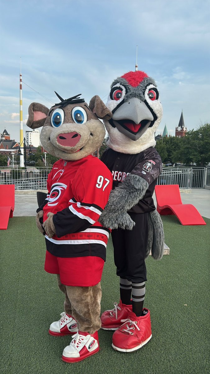 Fayetteville Woodpeckers tweet media