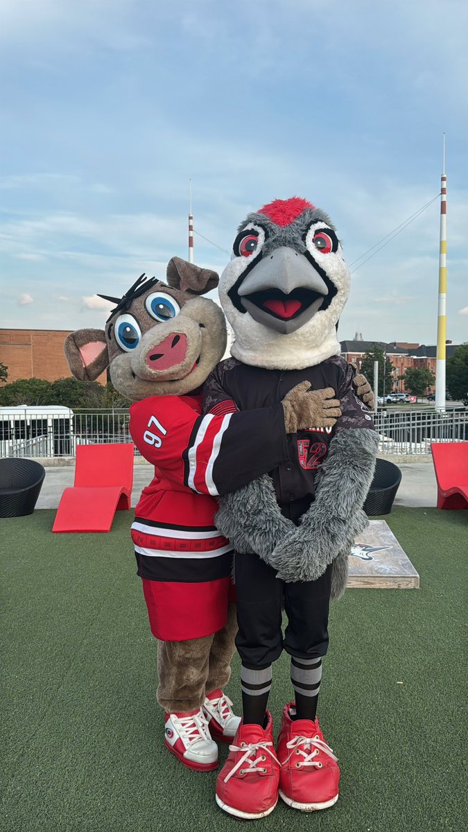 Fayetteville Woodpeckers tweet media